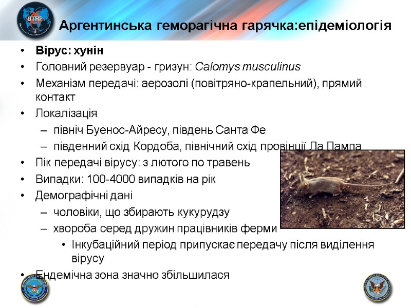 Аргентинська геморагічна гарячка:епідеміологія Вірус: хунін Головний резервуар - гризун: Calomys musculinus Механізм передачі: аерозолі